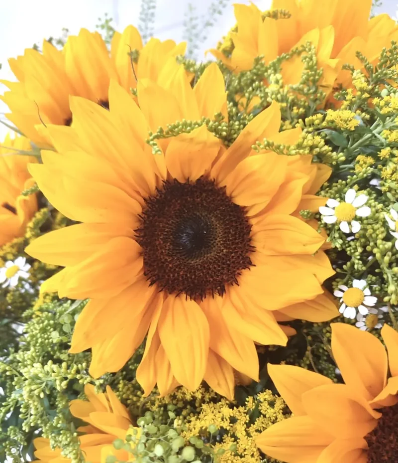 Le bouquet de saison Monsieur Fleur composé de Tournesols