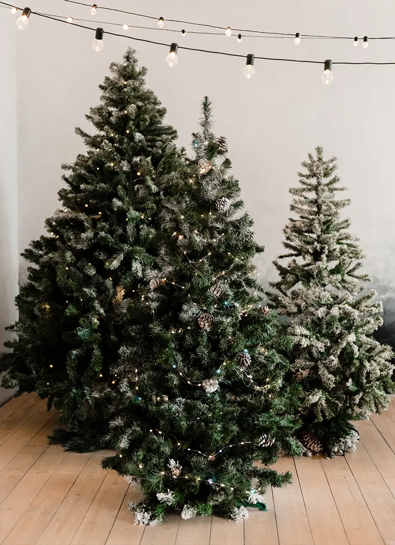 Sapins de Noël décorés