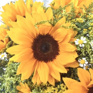 Bouquet de saison Tournesol Monsieur Fleur