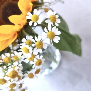 Bouquet-de-saison-Tournesol-Monsieur-Fleur-5